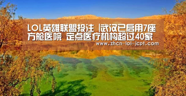 LOL英雄联盟投注 |武汉已启用7座方舱医院 定点医疗机构超过40家(图3) LOL英雄联盟投注